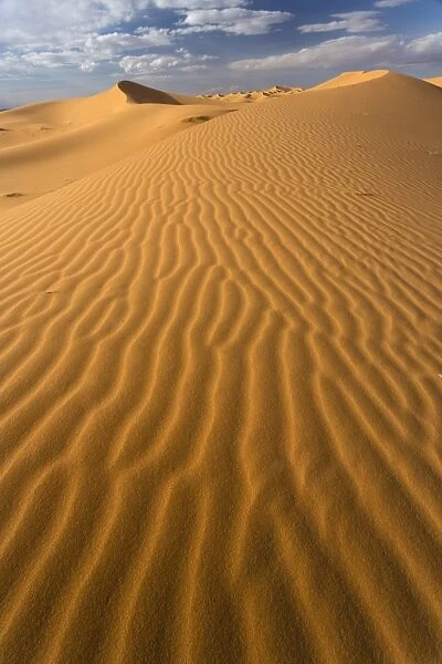 Orange sand dunes and sand ripples, Erg Chebbi sand sea, Sahara Desert near Merzouga, Morocco, North Africa, Africa