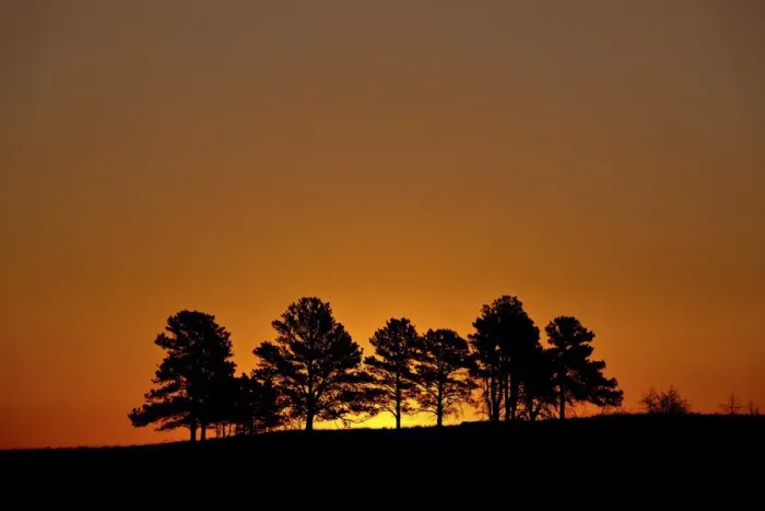 Framed Print : Orange sky at dawn, Custer State Park, South Dakota, United States of America, North America Framed Print : Orange sky at dawn, Custer State Park, South Dakota, United States of America, North America
