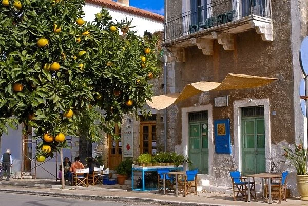 Orange tree in a little village in the Lakonian Mani, Peloponnese, Greece, Europe