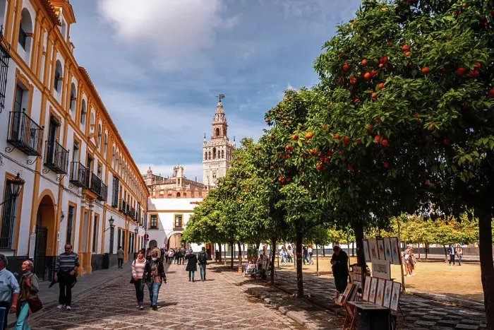 Framed Print : Orange trees in a park in the Patio de Banderas. featuring the cathedral spire of Seville, Andalusia, Spain, Europe Framed Print : Orange trees in a park in the Patio de Banderas. featuring the cathedral spire of Seville, Andalusia, Spain, Europe