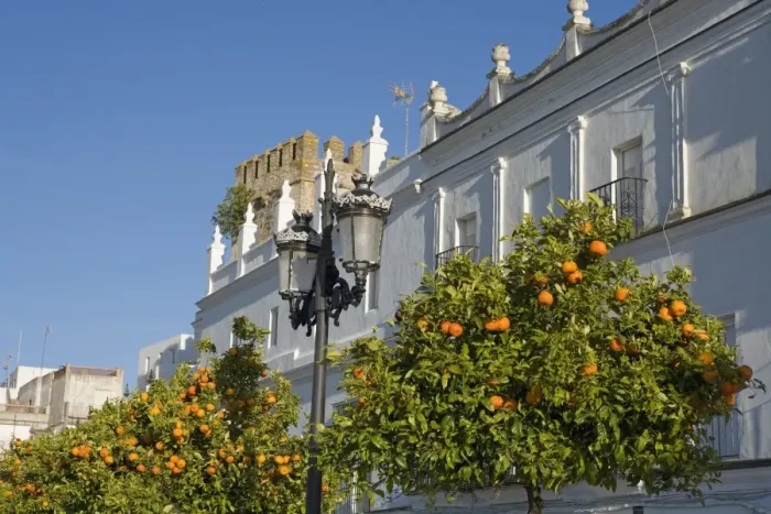 Framed Print : Orange trees, Vejer de la Frontera, Andalucia, Spain, Europe Framed Print : Orange trees, Vejer de la Frontera, Andalucia, Spain, Europe