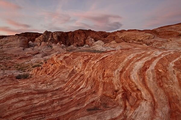 Orange and white sandstone layers with colorful clouds at sunrise, Valley Of Fire State Park, Nevada, United States of America, North America