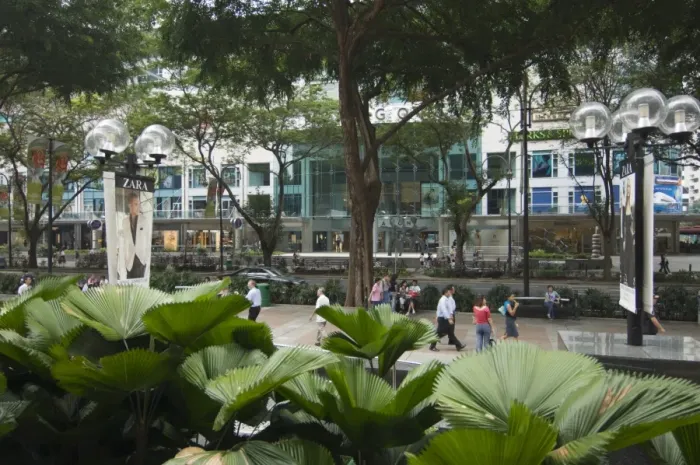Framed Print : Orchard Road Framed Print : Orchard Road