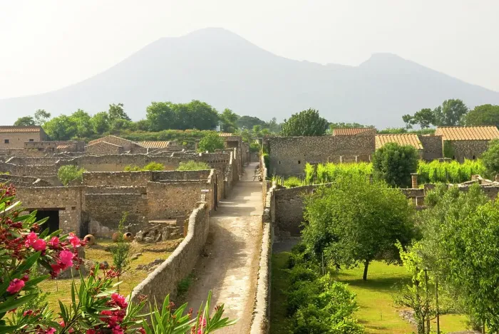Framed Print : Orchard and vineyard, archaeological site of Pompeii, UNESCO World Heritage Site, province of Naples, Campania region, Italy, Europe