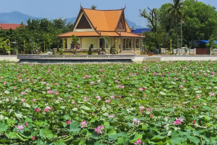 Framed Print : Ornamental lake covered with lily pads by temple pavilion at this quiet former French