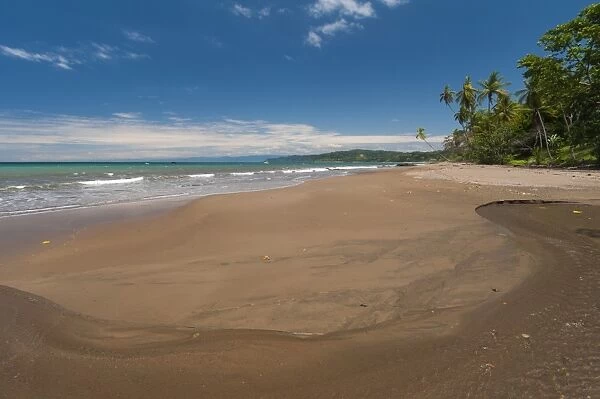 Osa Peninsula, Costa Rica, Central America