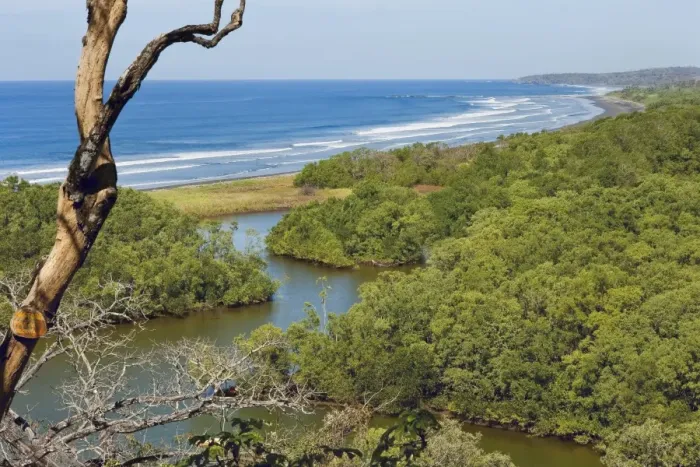 Framed Print : Ostional Beach and the Reserva Biologica Nosara, a private nature reserve on the Nosara River Framed Print : Ostional Beach and the Reserva Biologica Nosara, a private nature reserve on the Nosara River