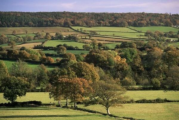 Otter Valley in autumn, Devon, England, United Kingdom, Europe