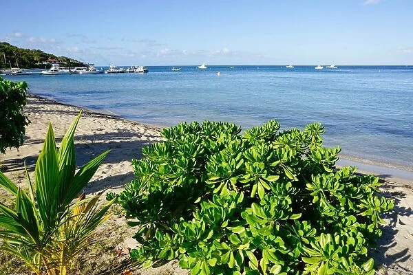 Oualie Beach, Nevis, St. Kitts and Nevis, Leeward Islands, West Indies, Caribbean