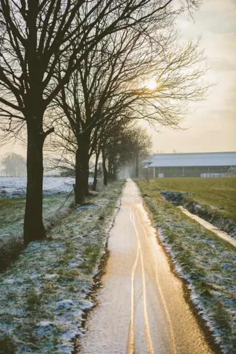 Framed Print : The Oude Trambaan (old tramway) tree lined cycle path in winter, Rijsbergen, North Brabant, The Netherlands (Holland), Europe Framed Print : The Oude Trambaan (old tramway) tree lined cycle path in winter, Rijsbergen, North Brabant, The Netherlands (Holland), Europe