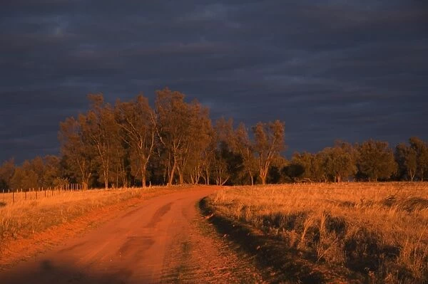 Outback road, Wentworth, New South Wales, Australia, Pacific
