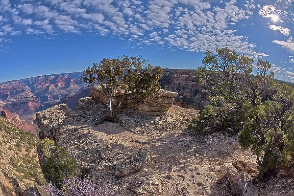 An outcrop of rock overlooking the Bright Angel Trail below at Grand Canyon South Rim off Hermit Road, Grand Canyon, UNESCO World Heritage Site, Arizona, United States of America, North America