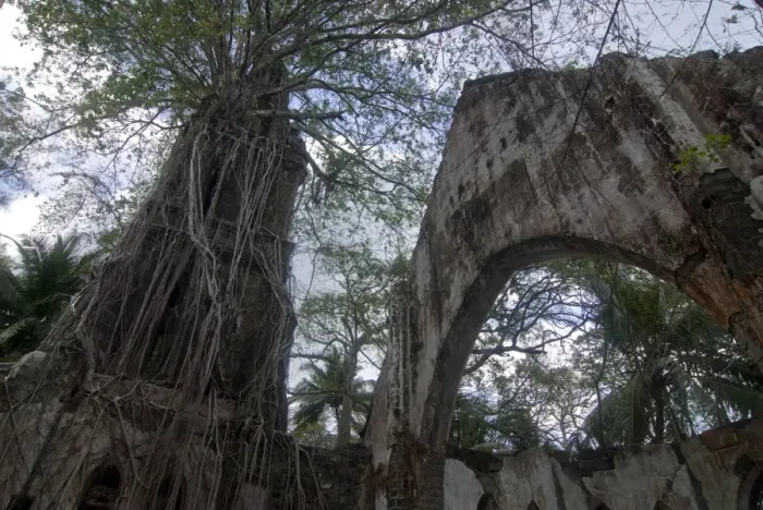 Framed Print : Overgrown destroyed church on Ross Island, formerly known as the Paris of the Indian Ocean Framed Print : Overgrown destroyed church on Ross Island, formerly known as the Paris of the Indian Ocean