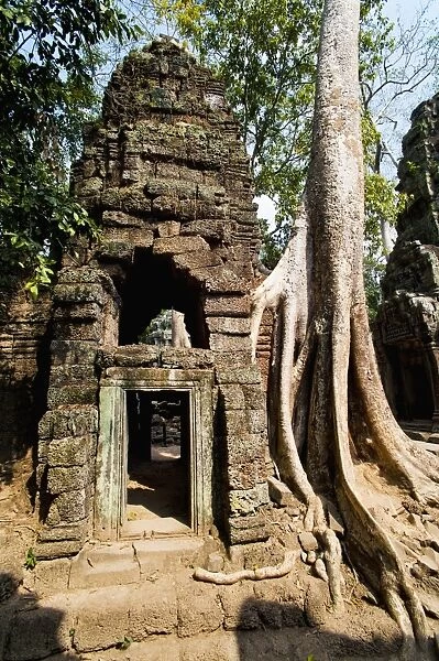 Overgrown roots and ruins at Ta Prohm Temple, Angkor Temples, UNESCO World Heritage Site, Siem Reap, Cambodia, Indochina, Southeast Asia, Asia