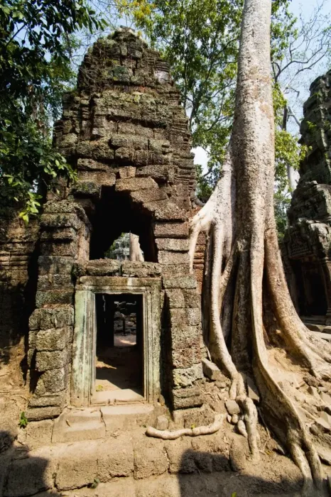 Framed Print : Overgrown roots and ruins at Ta Prohm Temple, Angkor Temples, UNESCO World Heritage Site, Siem Reap, Cambodia, Indochina, Southeast Asia, Asia Framed Print : Overgrown roots and ruins at Ta Prohm Temple, Angkor Temples, UNESCO World Heritage Site, Siem Reap, Cambodia, Indochina, Southeast Asia, Asia