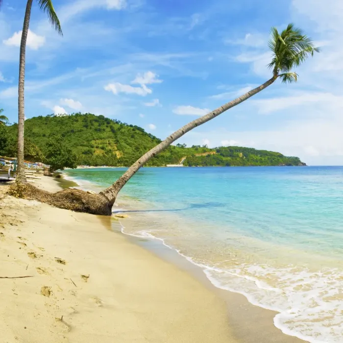 Framed Print : Overhanging palm tree, Nippah Beach, Lombok, West Nusa Tenggara, Indonesia, Southeast Asia, Asia Framed Print : Overhanging palm tree, Nippah Beach, Lombok, West Nusa Tenggara, Indonesia, Southeast Asia, Asia