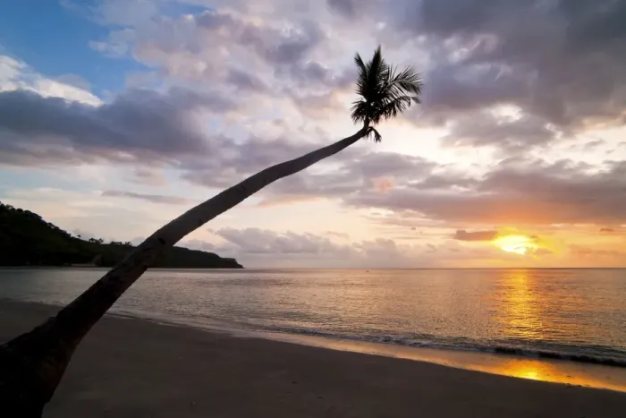 Framed Print : Overhanging palm tree at Nippah Beach at sunset, l Lombok Island, Indonesia, Southeast Asia, Asia Framed Print : Overhanging palm tree at Nippah Beach at sunset, l Lombok Island, Indonesia, Southeast Asia, Asia