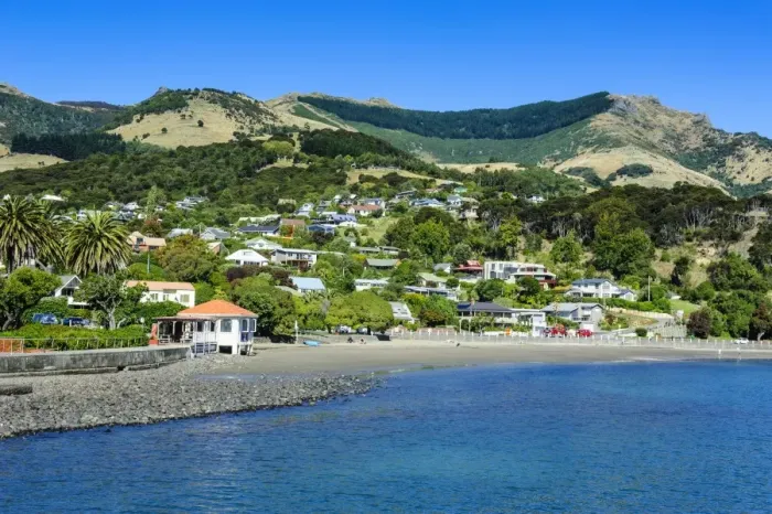 Framed Print : Overlook over Akaroa, Banks Peninsula, Canterbury, South Island, New Zealand, Pacific Framed Print : Overlook over Akaroa, Banks Peninsula, Canterbury, South Island, New Zealand, Pacific