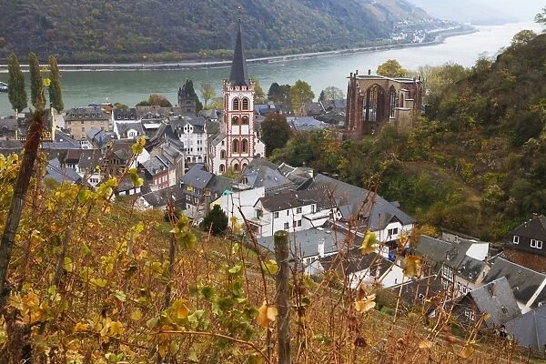 Overview of Bacharach and the Rhine River in autumn, Rhineland-Palatinate, Germany