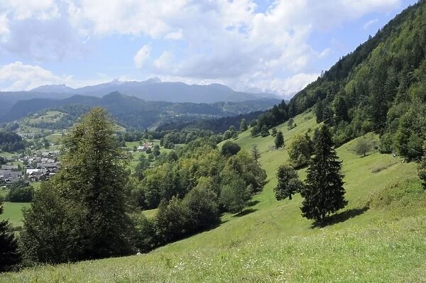 Overview of Podhom village near Bled, Julian Alps, slovenia, slovenian, europe, european