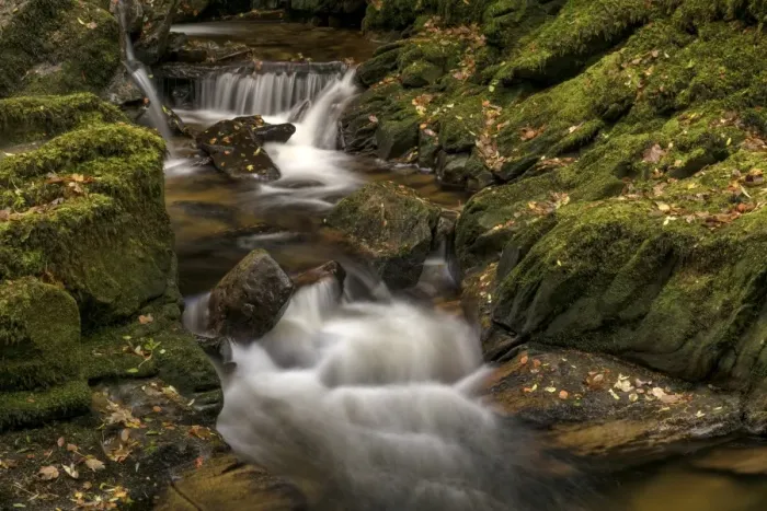 Framed Print : Owengarriff River, County Kerry, Munster, Republic of Ireland, Europe Framed Print : Owengarriff River, County Kerry, Munster, Republic of Ireland, Europe