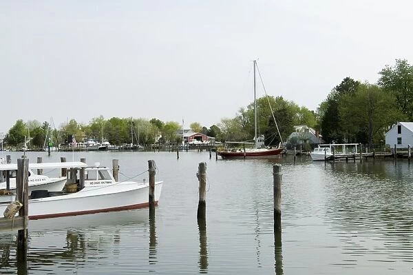 Oxford Bellevue Ferry