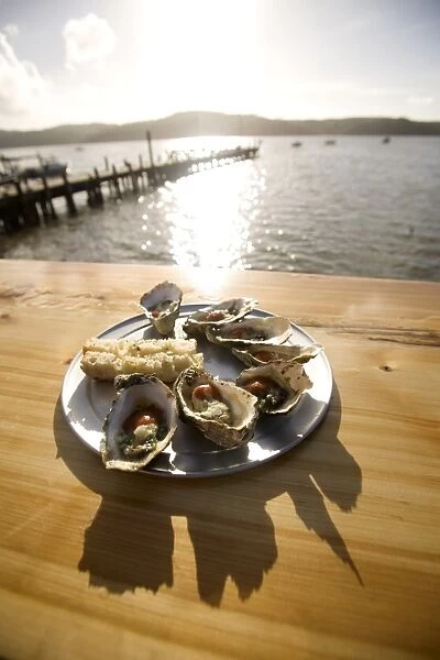 Oysters on half shells, California, United States of America, North America