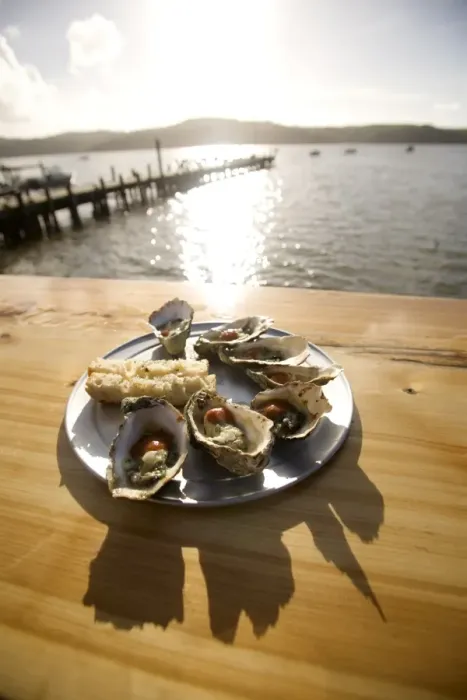 Framed Print : Oysters on half shells, California, United States of America, North America Framed Print : Oysters on half shells, California, United States of America, North America
