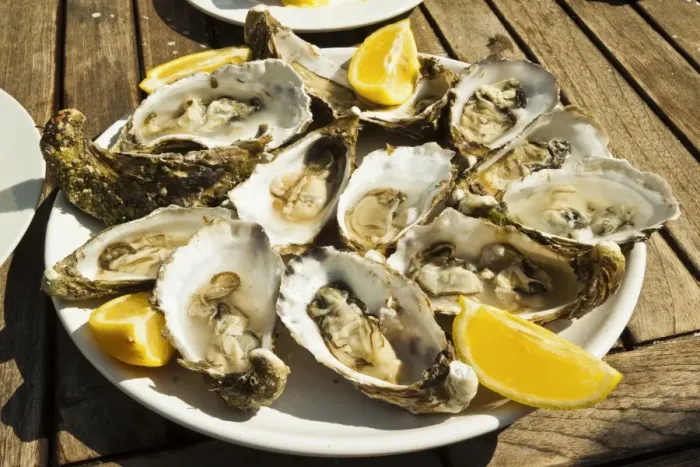 Framed Print : Oysters (huitres) ready to eat, thousands of tons of the shellfish are grown annually here Framed Print : Oysters (huitres) ready to eat, thousands of tons of the shellfish are grown annually here