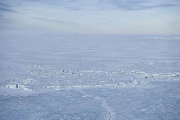 Pack ice, Antarctic Peninsula, Weddell Sea, Antarctica, Polar Regions