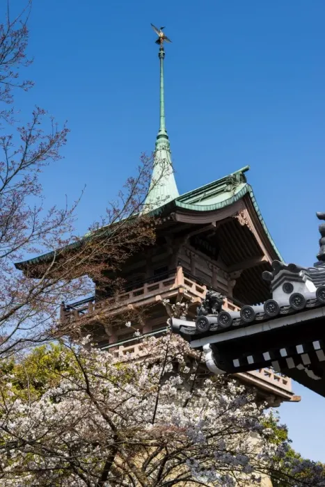 Framed Print : Pagoda in the cherry blossom in the Maruyama-Koen Park, Kyoto, Japan, Asia Framed Print : Pagoda in the cherry blossom in the Maruyama-Koen Park, Kyoto, Japan, Asia