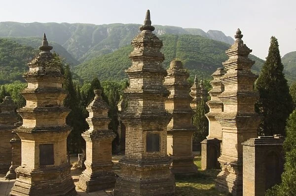 Pagoda Forest cemetery at Shaolin Temple, the birthplace of Kung Fu martial arts