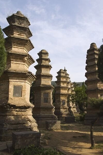 Pagoda Forest cemetery at Shaolin Temple, the birthplace of Kung Fu martial arts
