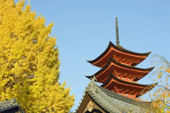 Framed Print : Pagoda and gingko trees, Itsukushima Shrine, UNESCO World Heritage Site Framed Print : Pagoda and gingko trees, Itsukushima Shrine, UNESCO World Heritage Site