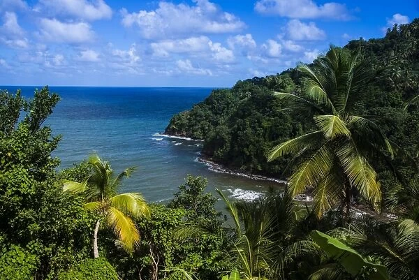 Pagua Bay in Dominica, West Indies, Caribbean, Central America