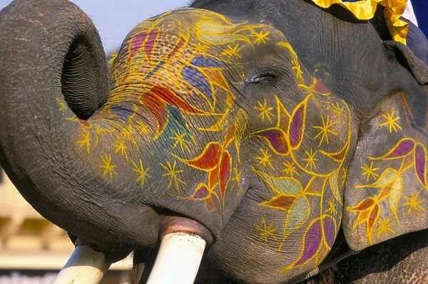 Painted elephant