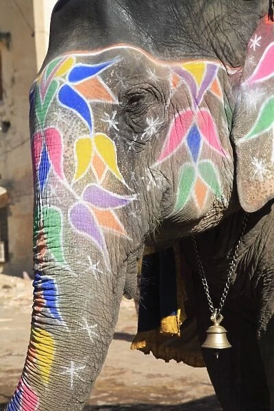 Painted elephant, Amber Fort Palace, Jaipur, Rajasthan, India, Asia