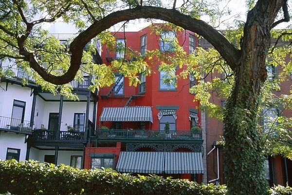 Painted house, Brooklyn, New York, United States of America (U