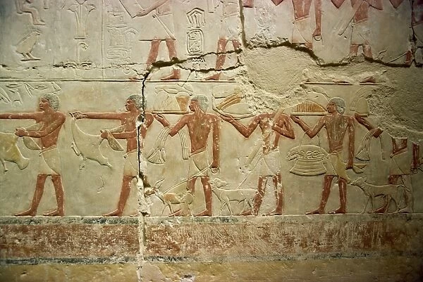 Painted reliefs in mastaba (tomb), Saqqara, Egypt, North Africa, Africa