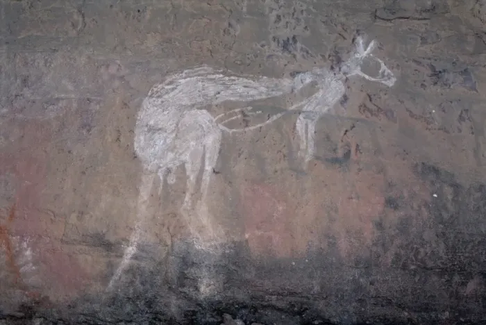 Framed Print : Painting of a kangaroo at Nourlangie Rock, the sacred aboriginal shelter Framed Print : Painting of a kangaroo at Nourlangie Rock, the sacred aboriginal shelter