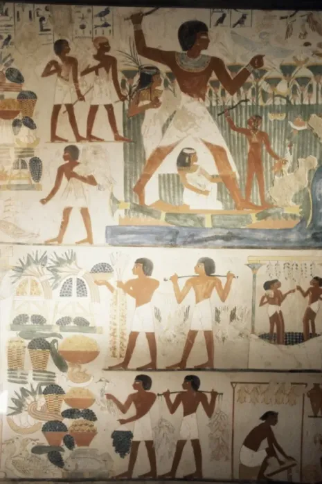 Framed Print : Paintings of scenes of everday life in the tomb of Nakht, Minister of Agriculture in the reign of Tutmosis IV, Valley of the Nobles, Thebes, UNESCO World Heritage Site, Egypt, North Framed Print : Paintings of scenes of everday life in the tomb of Nakht, Minister of Agriculture in the reign of Tutmosis IV, Valley of the Nobles, Thebes, UNESCO World Heritage Site, Egypt, North