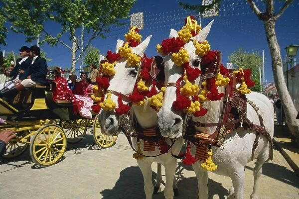 Pair of horses decorated with colourful headgear