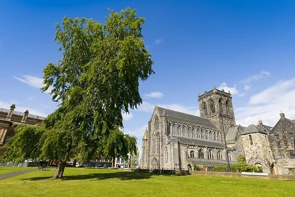 Paisley Abbey and tree, Renfrewshire, Scotland, United Kingdom, Europe