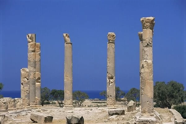 Palace columns