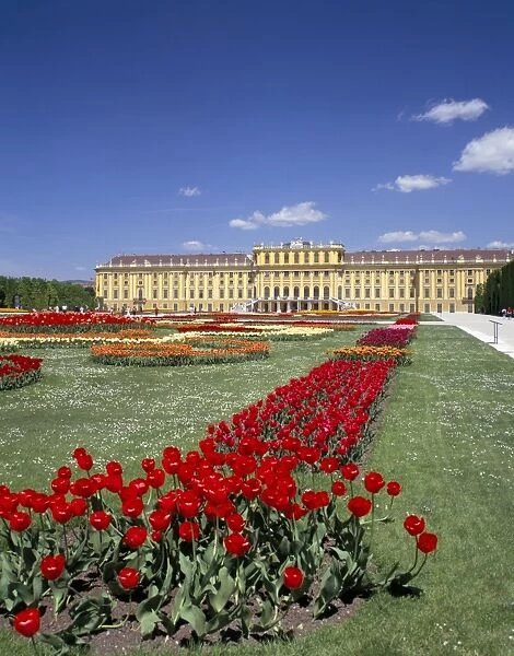 Palace and gardens, Schonbrunn, UNESCO World Heritage Site, Vienna, Austria, Europe