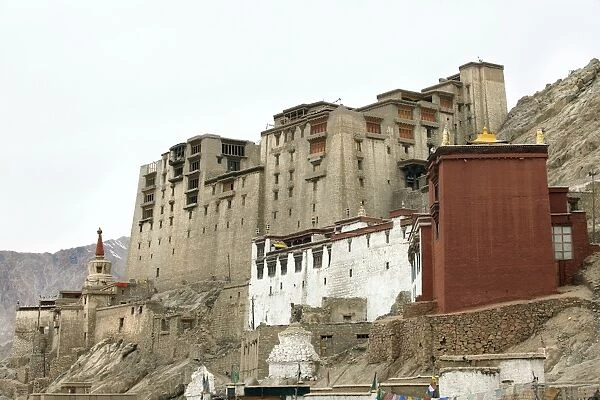 Palace in Leh with LAMO house below. Ladakh, India, Asia