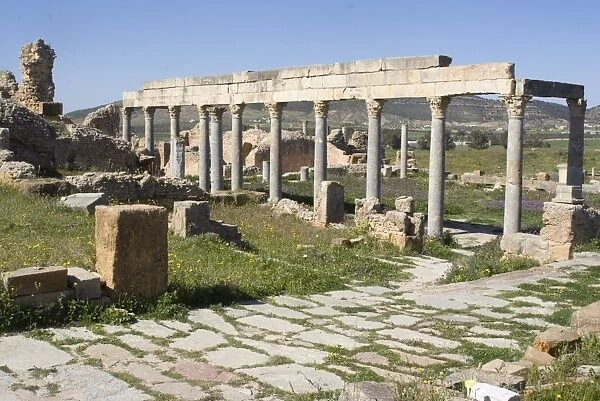 Palaestra, Greco-Roman gymnasium, Roman site of Thuburbo Majus, Tunisia