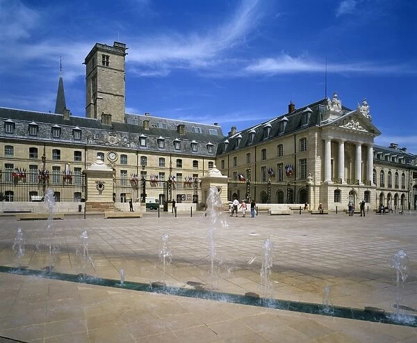 Palais des Ducs (Palace of the Dukes of Burgundy), Dijon, Burgundy, France, Europe