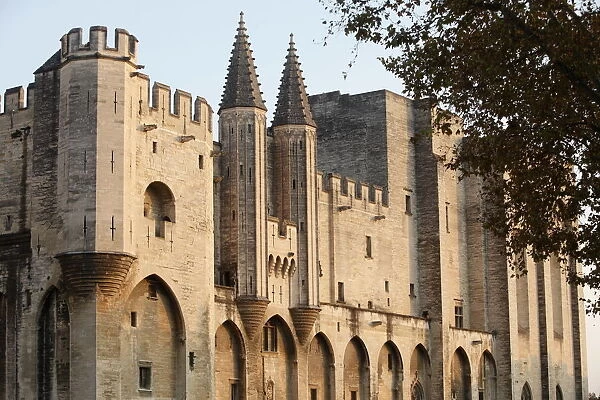 Palais des Papes, Avignon, UNESCO World Heritage Site, Vaucluse, France, Europe