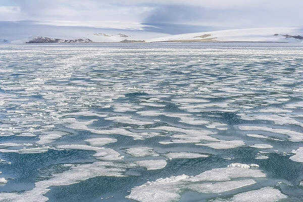 Palanderbukta Bay, Pack ice pattern, Gustav Adolf Land, Nordaustlandet, Svalbard archipelago